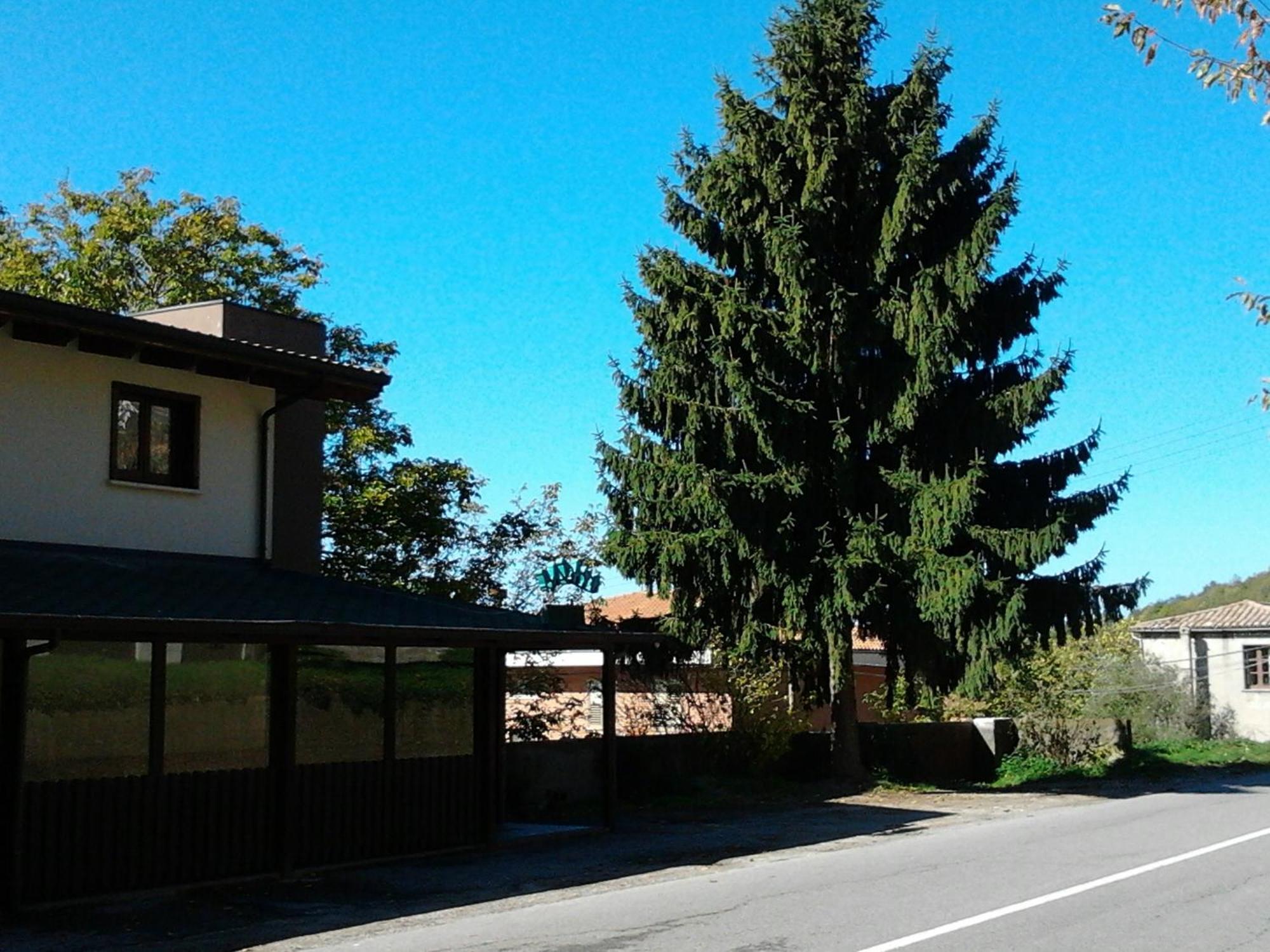 Agrihotel Papaya San Pietro Apostolo エクステリア 写真